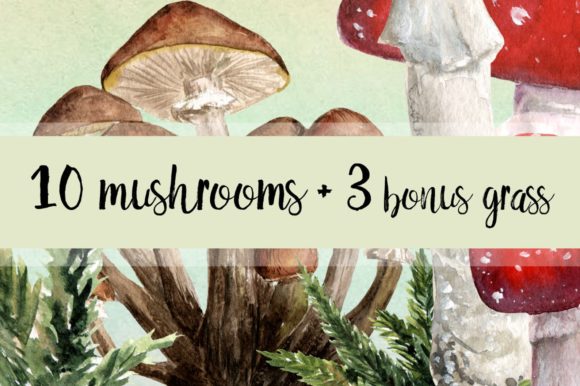 10 Watercolor Mushroom Set 3 Bonus Illustrations