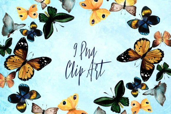 9 Watercolor Butterflies Clip Art and Illustrations