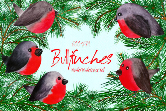 Bullfinches Watercolor Set