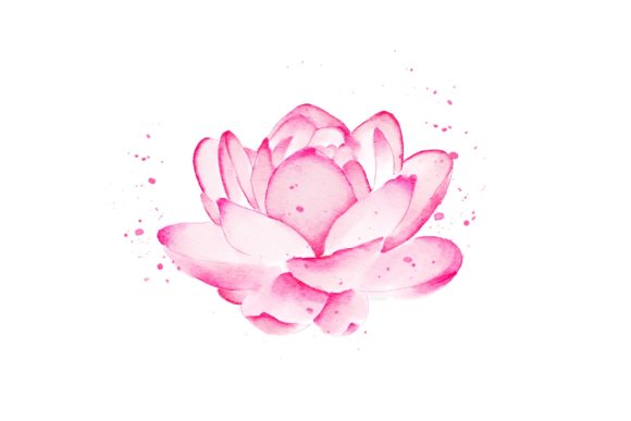 Lotus Flower Watercolor Realistic PNG and Illustrations