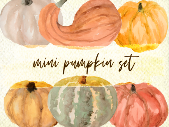 Mini Pumpkin Set PNG Watercolor Clipart