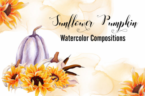 Sunflower Pumpkin – Watercolor Illustrations