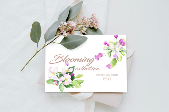 Watercolor Apple Blooming Collection and Illustrations