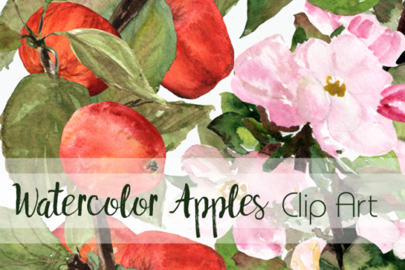 Watercolor Apples Clip Art Set and Illustrations