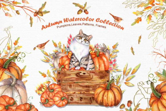 Watercolor Autumn Cat Collection and Illustrations