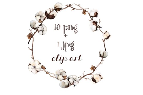 Watercolor Cotton Clip Art and Illustrations