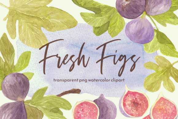 Watercolor Figs Clipart Set and Illustrations