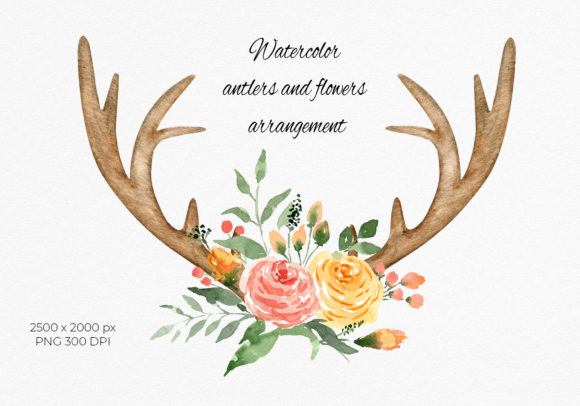 Watercolor Floral Antlers Clipart and Illustrations