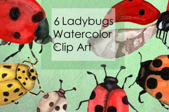 Watercolor Ladybugs Clip Art and Illustrations
