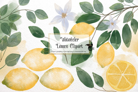 Watercolor Lemons Clipart and Illustrations