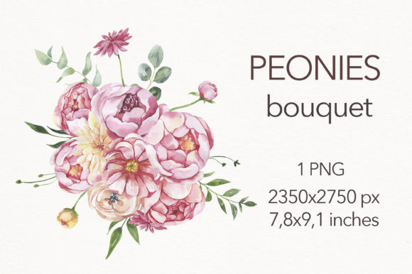 Watercolor Peonies Bouquet Clipart and Illustrations