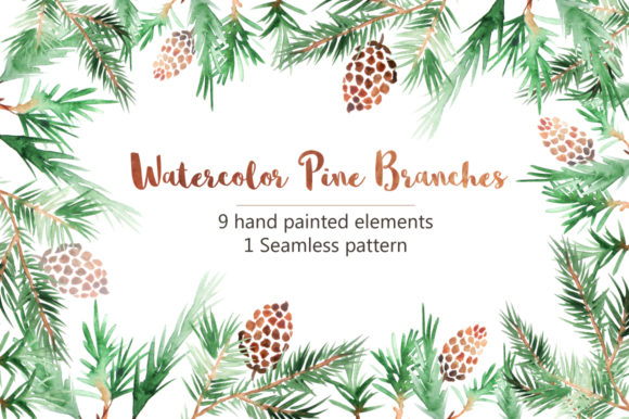 Watercolor Pine Branches Set and Illustrations