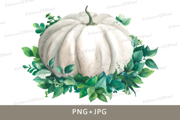 Watercolor Pumpkin. Autumn Clipart