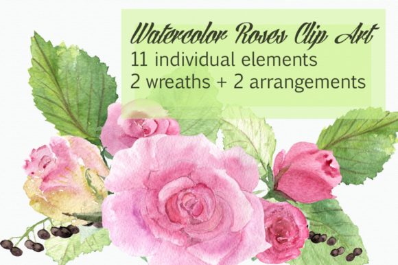 Watercolor Roses Clip Art and Illustrations