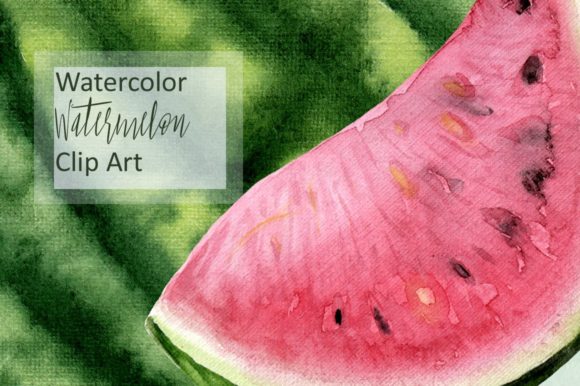 Watercolor Watermelon Clip Art and Illustrations