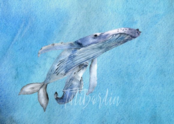Watercolor Whales Clip Art Print and Illustrations
