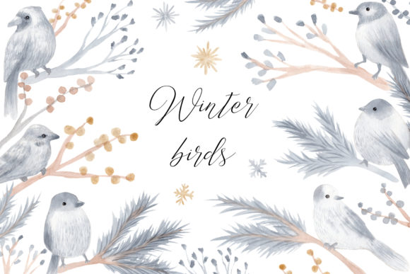 Watercolor Winter Birds Cliparts and Illustrations
